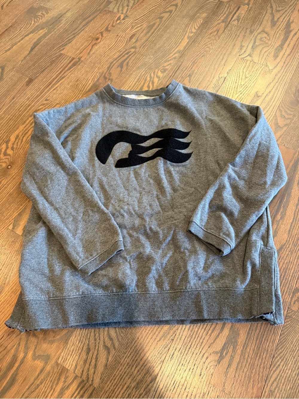 Princess Cruises Sweatshirt